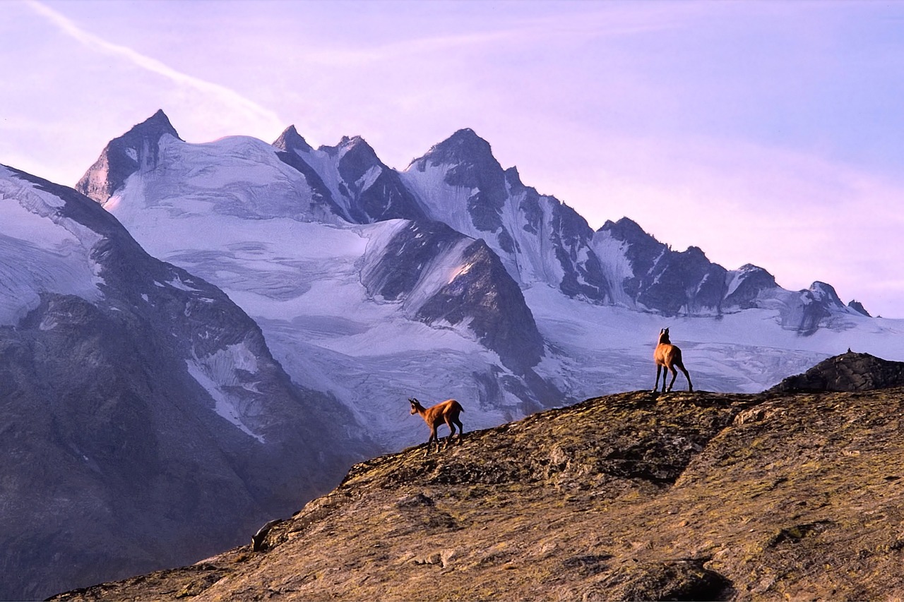 Einen Gletscher erklimmen Traumdeutung